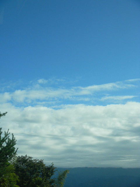 DSCN8311