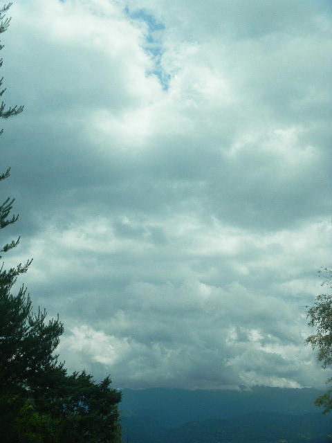 DSCN8951