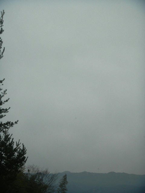DSCN8816