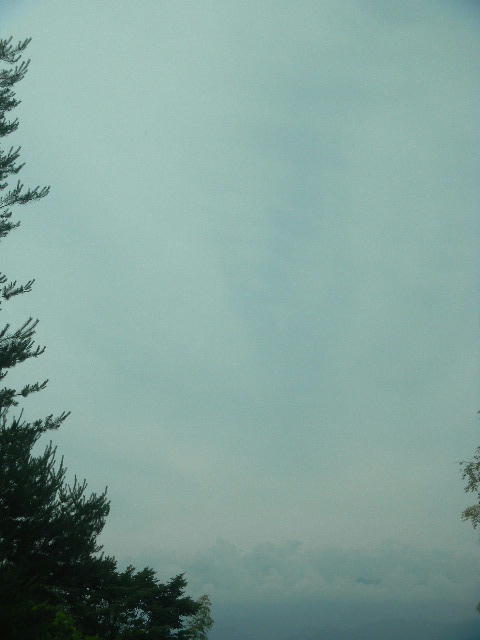 DSCN8976