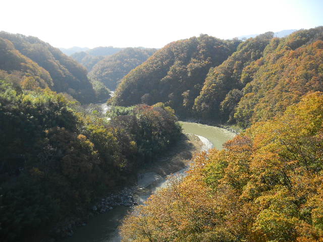 DSCN0494