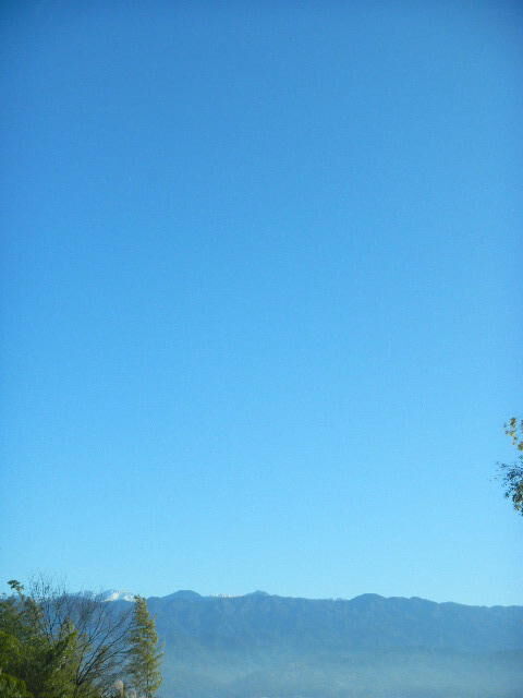 DSCN7231