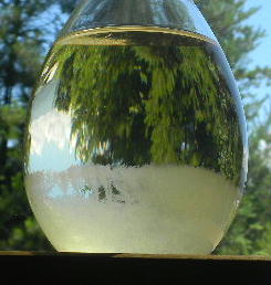 DSCN6378