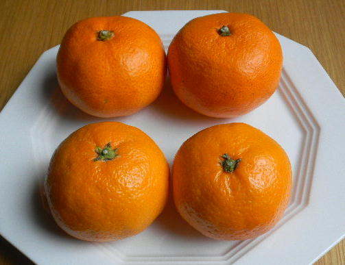 DSCN0742