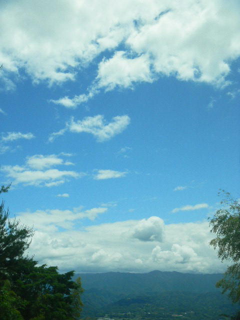 DSCN8859