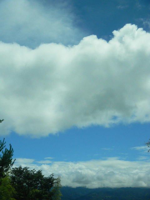 DSCN8101