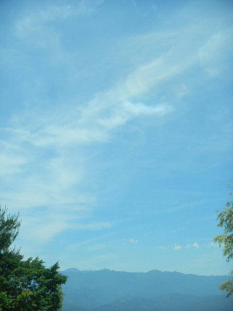 DSCN8885
