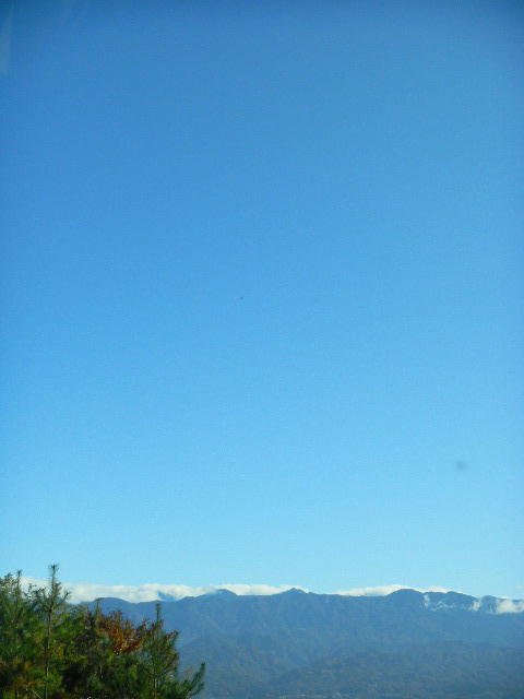DSCN0545