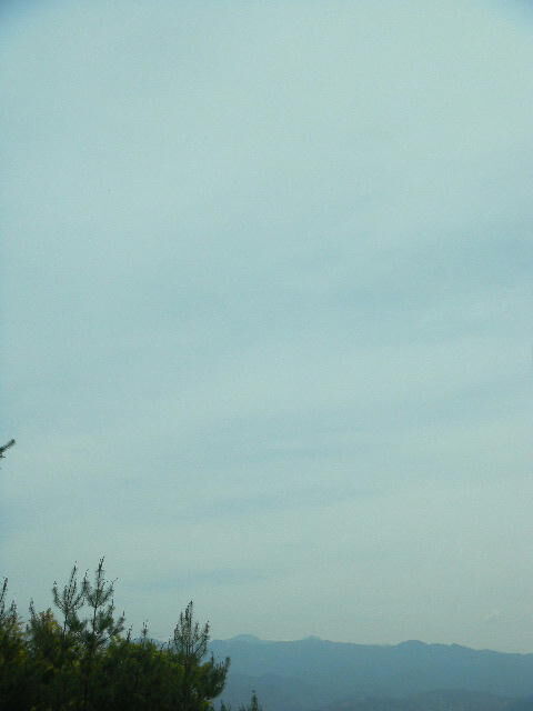 DSCN1105
