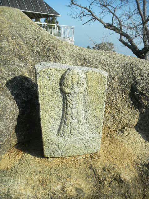 DSCN0304