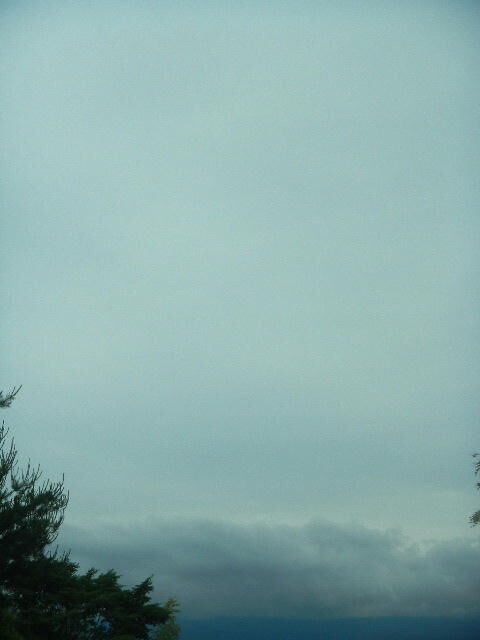 DSCN8906