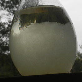 DSCN0691