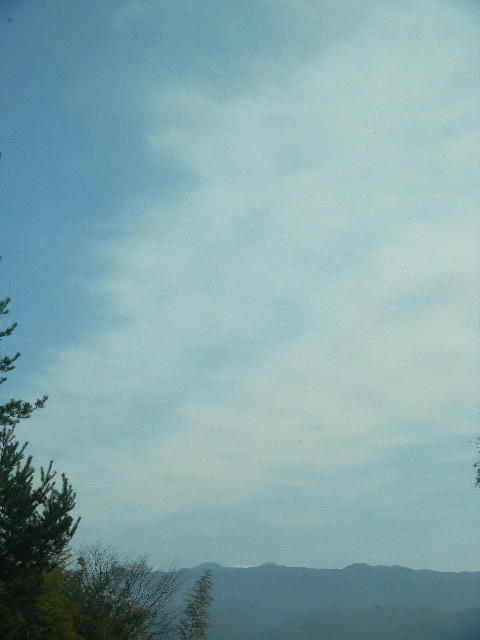 DSCN8809
