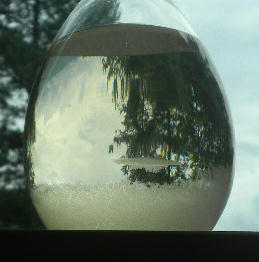 DSCN5160