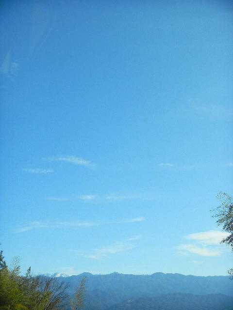 DSCN5595