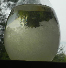 DSCN4562