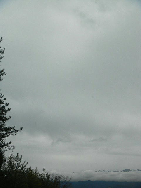 DSCN4495