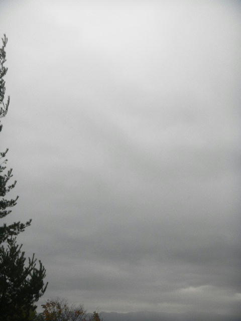 DSCN8461