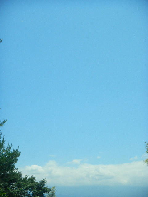 DSCN9002