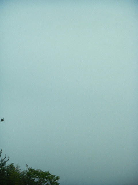 DSCN4603