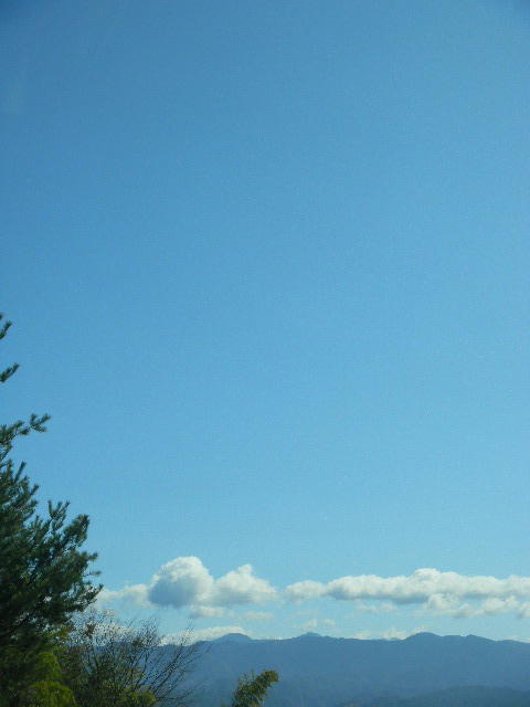 DSCN9911