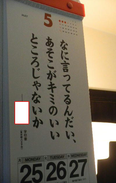 イメージ 7