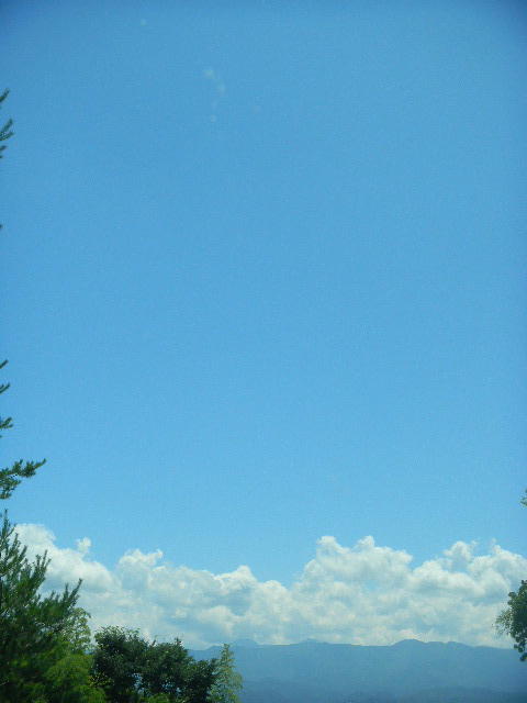 DSCN6379
