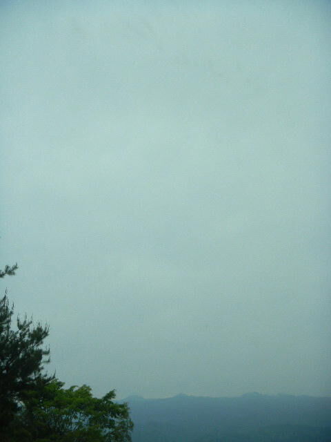 DSCN8798