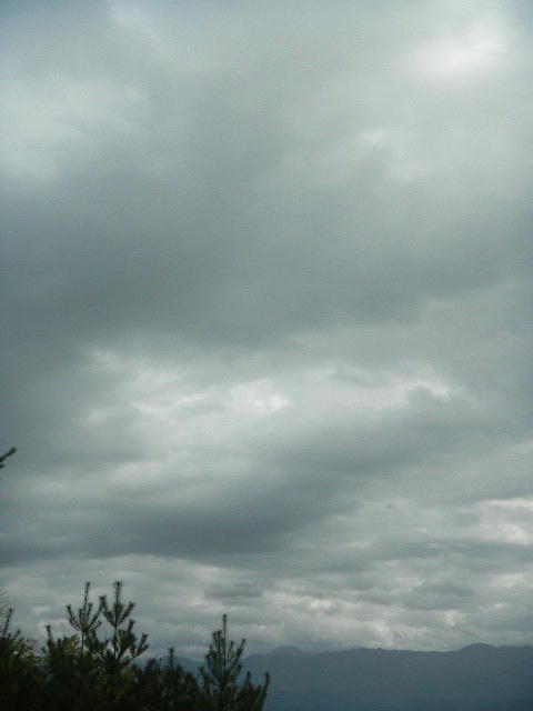 DSCN0304