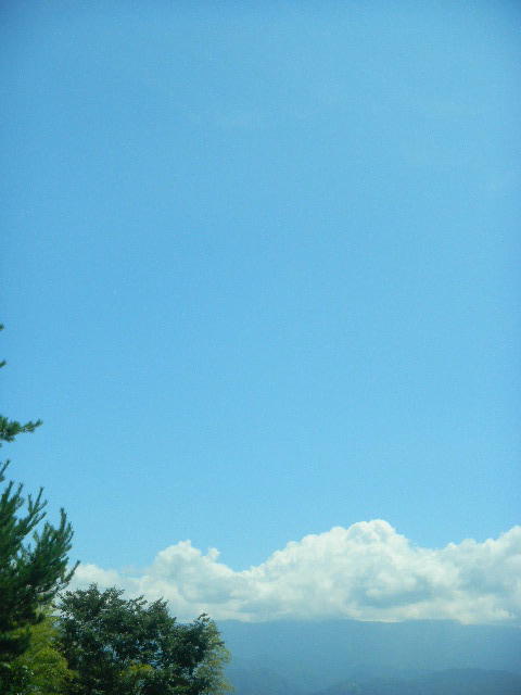 DSCN8104