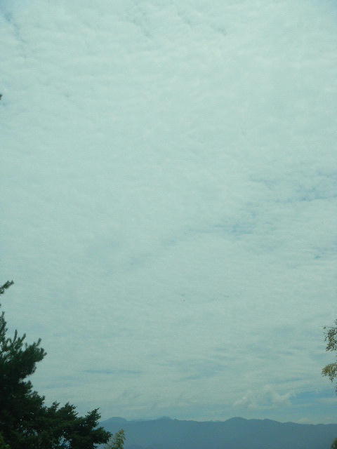DSCN9088