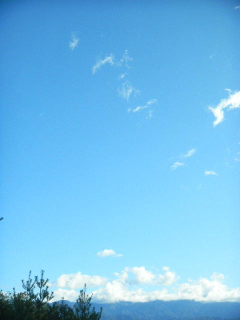DSCN0341
