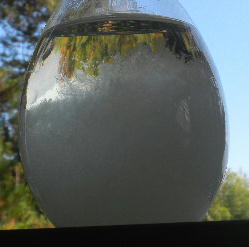 DSCN3345