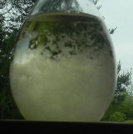 DSCN6246