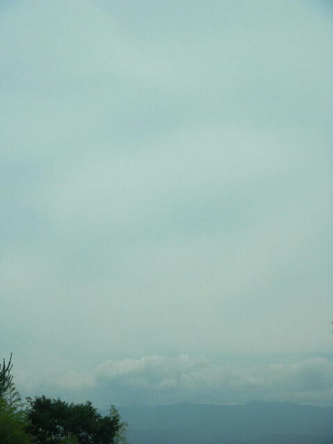 DSCN6243