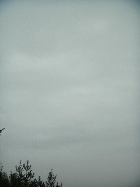 DSCN0690