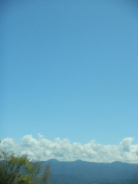 DSCN8971