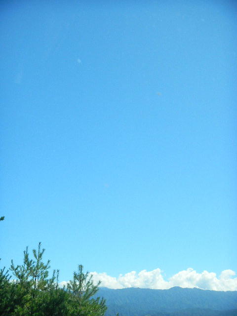 DSCN3054