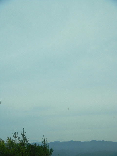 DSCN9689