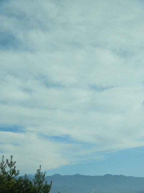 DSCN0325