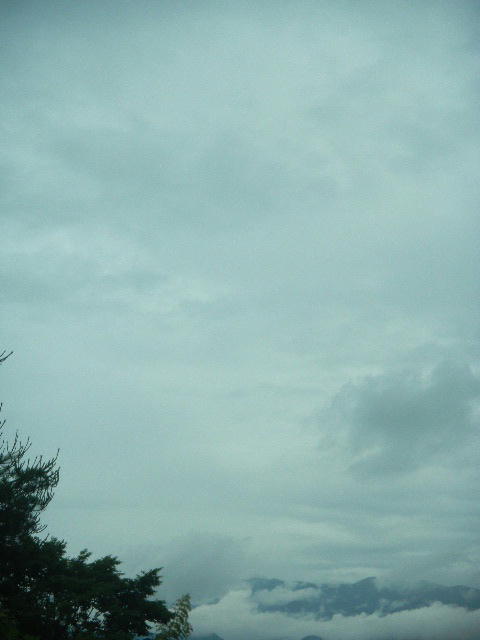 DSCN8957