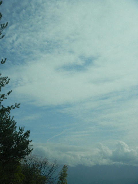 DSCN9910