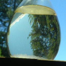 DSCN5024