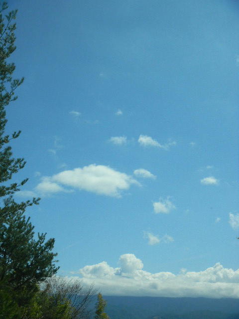 DSCN0004