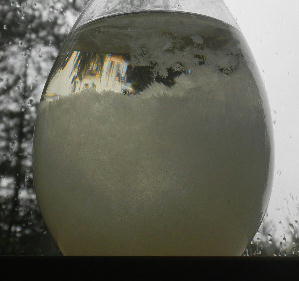 DSCN0661