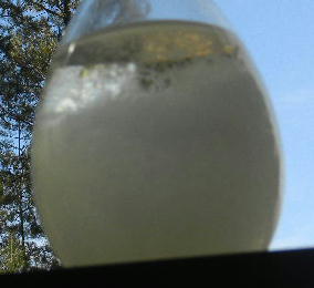 DSCN0840