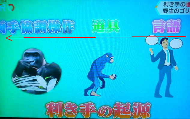 DSCN8093