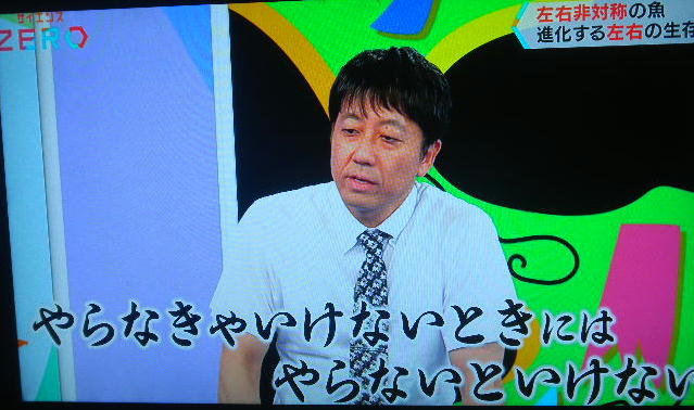 DSCN8100