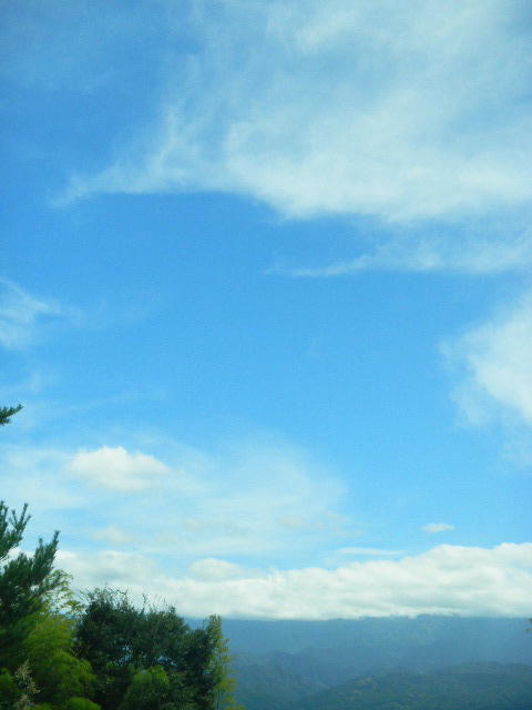 DSCN6553