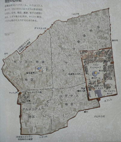 DSCN6549